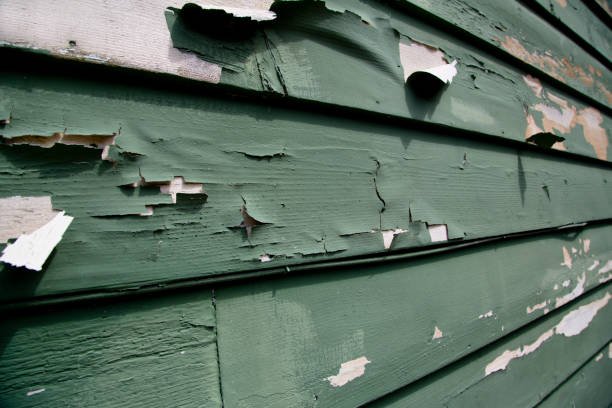 Best Custom Siding Design  in Lonville, GA