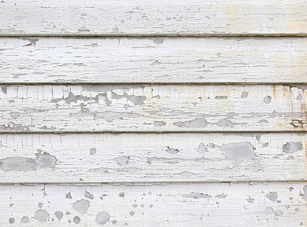 Best Historical Building Siding Restoration  in Lonville, GA
